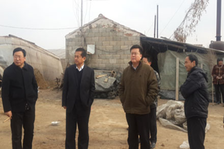 尊龙凯时 - 人生就是搏!