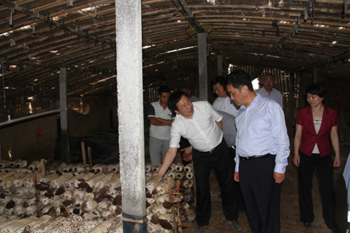 尊龙凯时 - 人生就是搏!